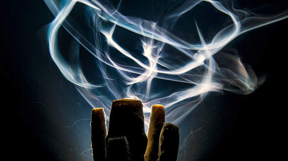 OD_GDT_2013_00_Alexander_Mustard_Spuren_in_der_Nacht-teaser (jpg)