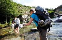 OD Trekkingstöcke Leki
